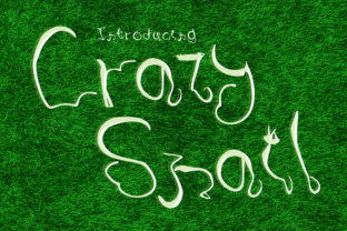 Crazy Snail: A Strategic Guide to Using Unconventional Typography for Memorable Brand Results