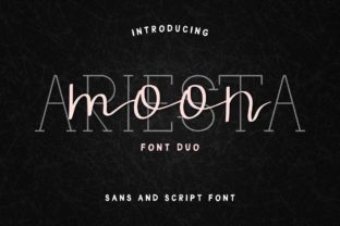 How Ariesta Moon Duo Transforms Ordinary Layouts into Memorable Visual Stories