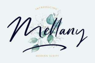 Mellany: A Script Font That Transforms Design Intent into Visual Confidence