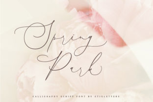 Spring Park: Strategic Elegance for Modern Visual Communication
